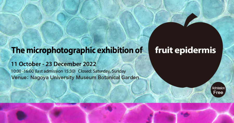 The microphotographic exhibition of fruit epidermis