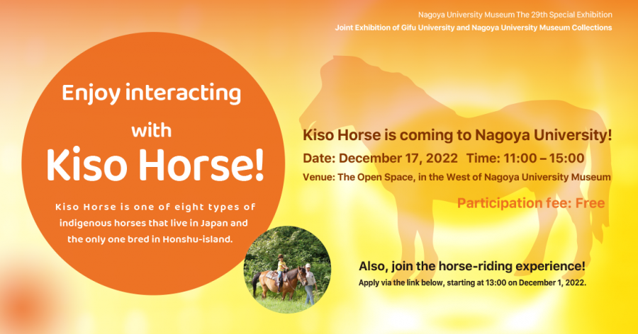 Enjoy interacting with Kiso Horse!