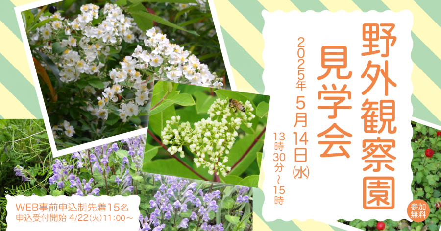 野外観察園見学会