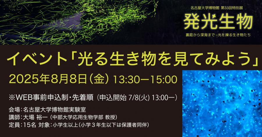 光る生き物を見てみよう