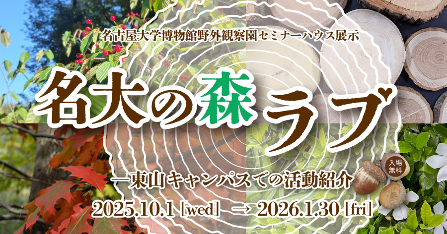 名大の森ラブ