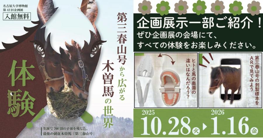 第42回企画展 木曽馬の世界