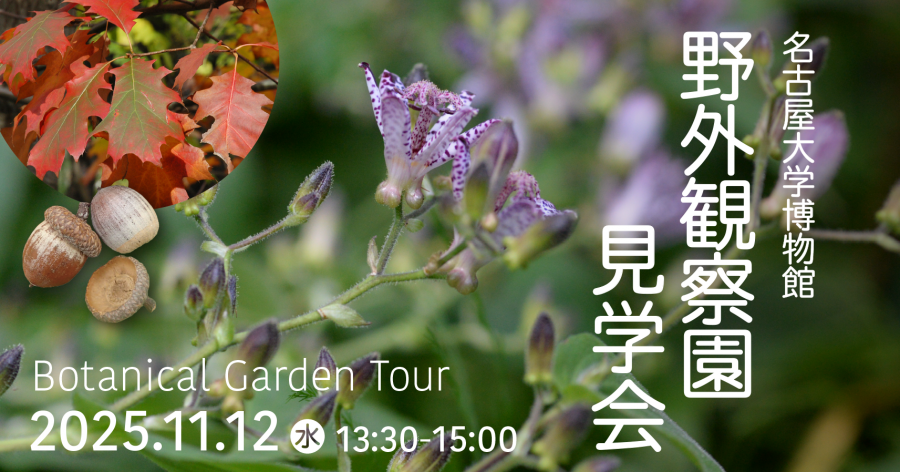 野外観察園見学会