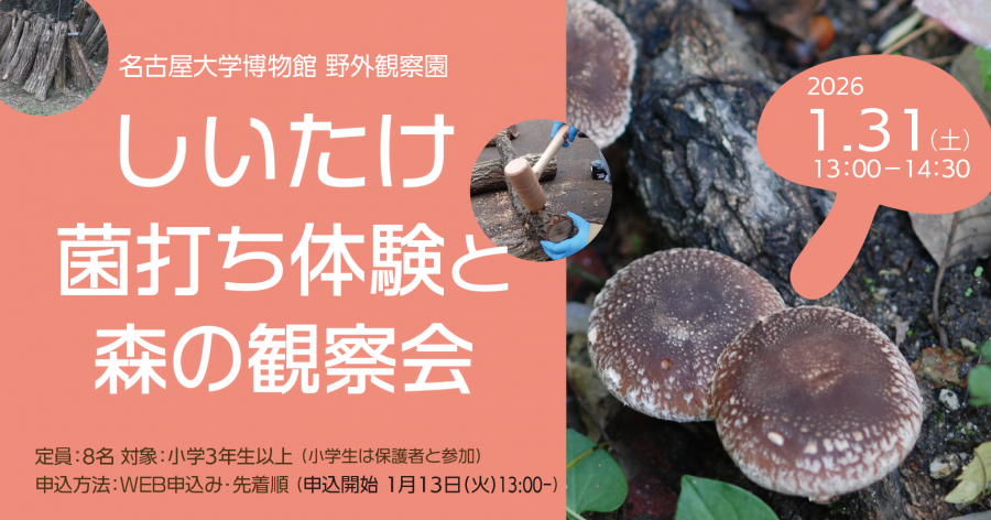 しいたけイベント