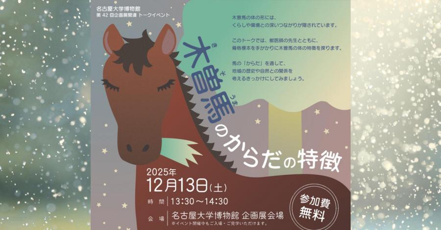 木曽馬のからだの特徴