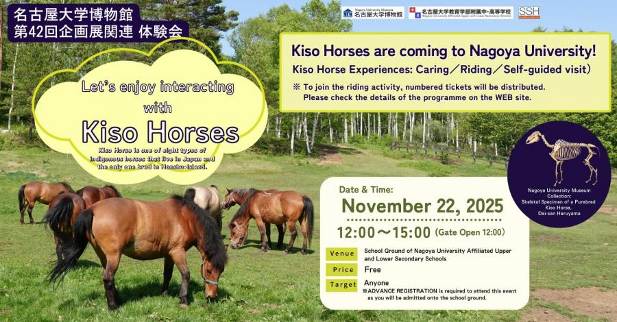 Let’s enjoy interacting with Kiso Horses