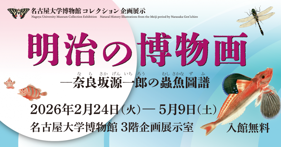 Natural History Illustrations from the Meiji period by Narasaka Gen’ichiro   