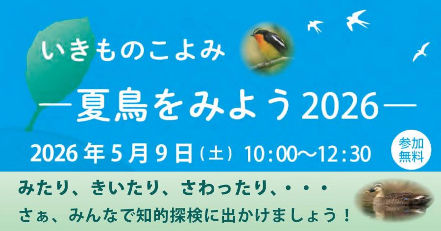 夏鳥をみよう