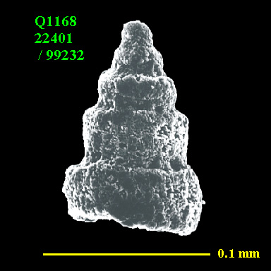Qiii to Biii, Gallery-ii-j, or Gallery Page